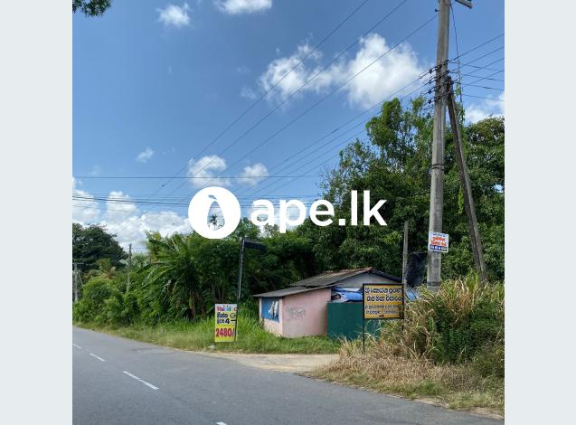 Land for sale walaasmulla